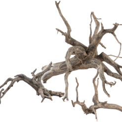 Sera Scaper Root S - 25-30 Cm