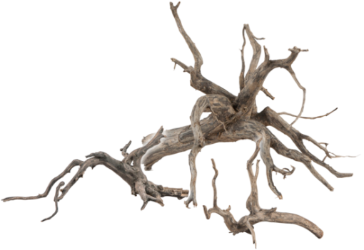 Sera Scaper Root M - 30-35 Cm -Aquaria, kits en stands Verkoopwinkel 1511349392