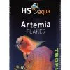 Hs Aqua Artemia Flakes 400 Ml