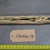 Cholla Wood 17