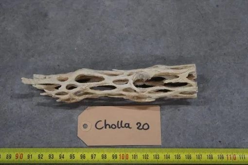 Cholla Wood 20 -Aquaria, kits en stands Verkoopwinkel 1808043243