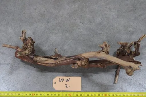 APS Winewood 2 -Aquaria, kits en stands Verkoopwinkel 1808647629