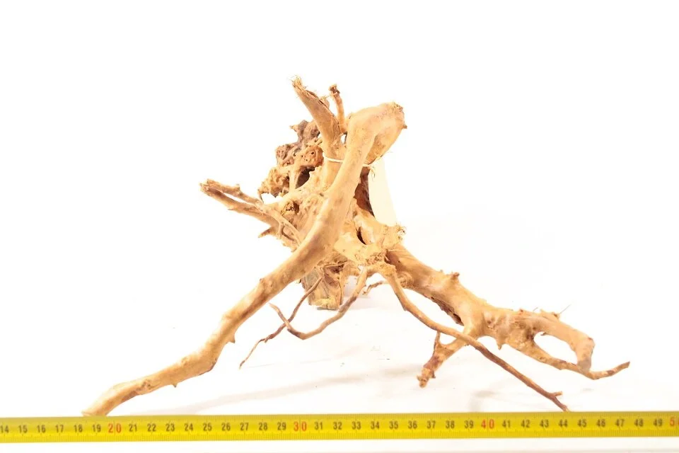 Spiderwood S2 1 Spiderwood S2