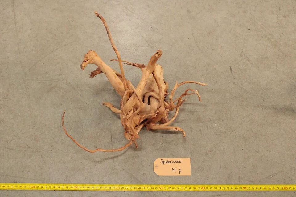 Spiderwood M7 1 Spiderwood M7