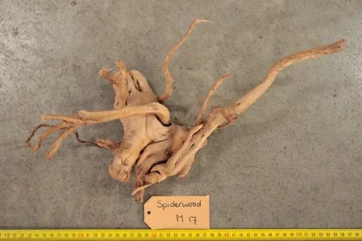 Spiderwood M17 -Aquaria, kits en stands Verkoopwinkel 1916903139