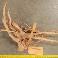 Spiderwood M20