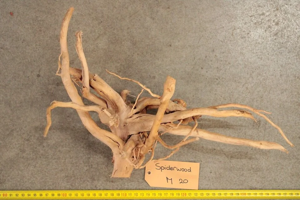 Spiderwood M20 1 Spiderwood M20