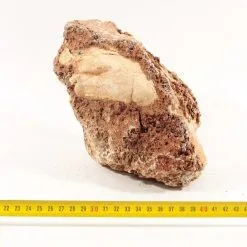 Grand Canyon Rock L 6