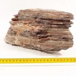 Grand Canyon Rock L 4