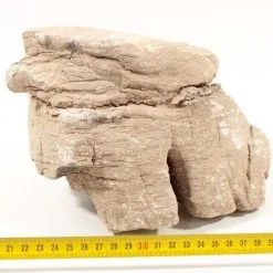 Grand Canyon Rock L 2