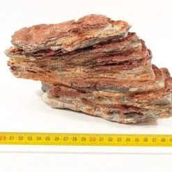 Grand Canyon Rock L 1