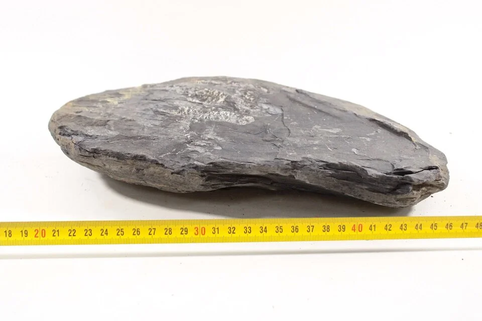 Pebble Rock L 3 1 Pebble Rock L 3