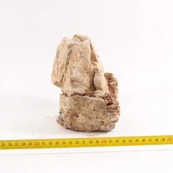 Grand Canyon Rock M 1