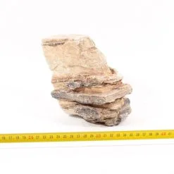 Grand Canyon Rock M 2