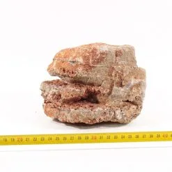 Grand Canyon Rock M 3