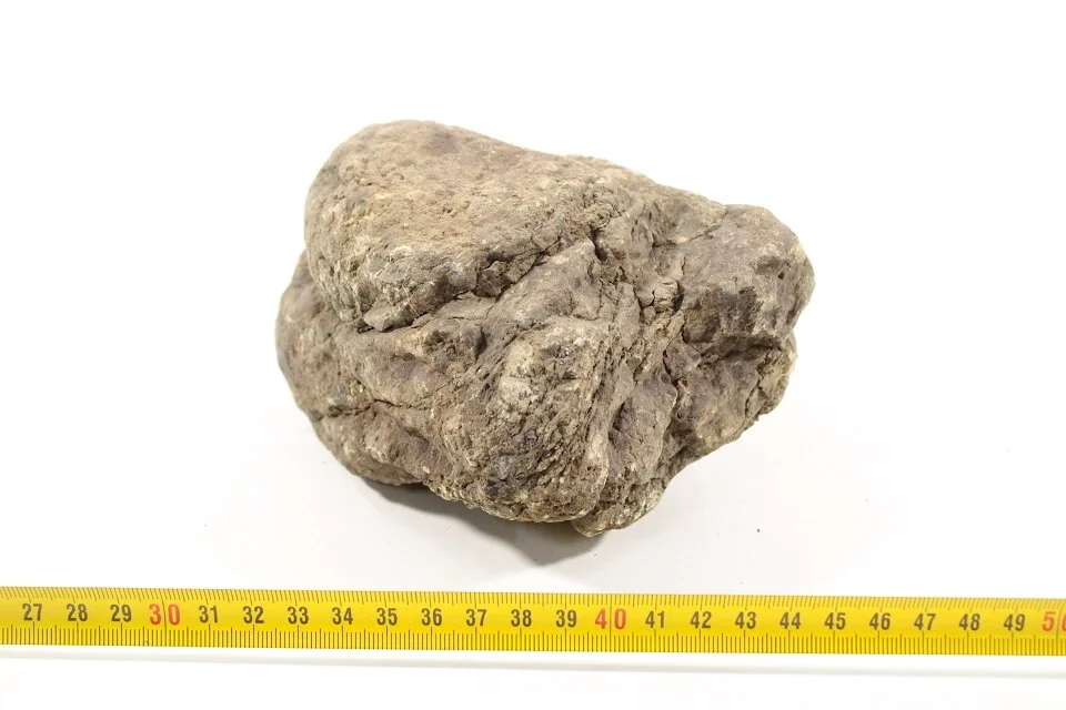 Elephant Rock L 3 1 Elephant Rock L 3