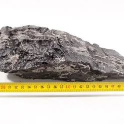 Seiryu Rock Dark M 1