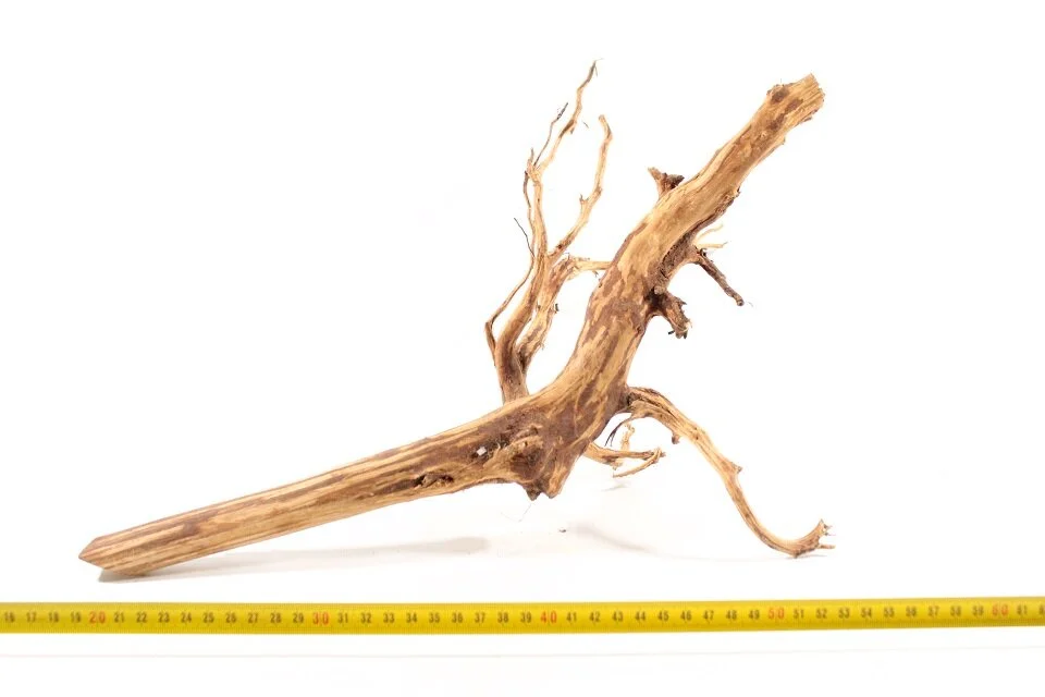 Red Spiderking S 8 1 Red Spiderking S 8