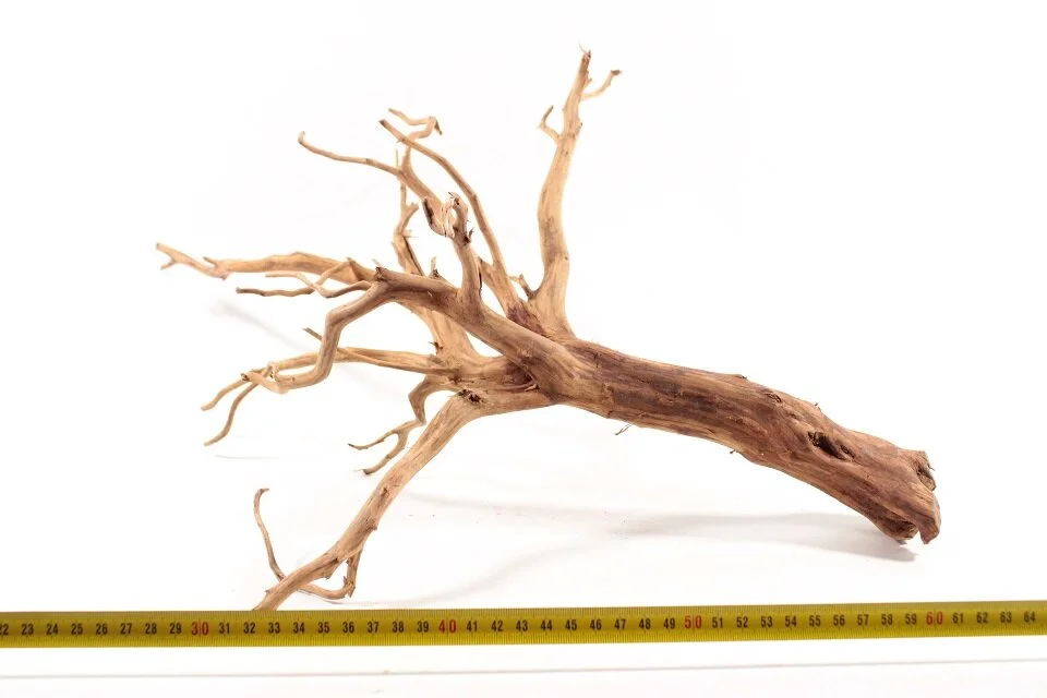 Red Spiderking M 2 1 Red Spiderking M 2