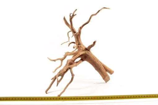 Red Spiderking M 7 -Aquaria, kits en stands Verkoopwinkel 1947732405