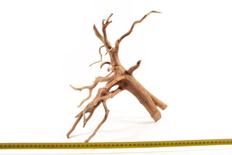 Red Spiderking M 7 1 Red Spiderking M 7