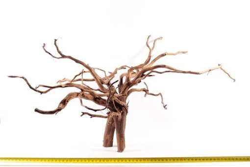 Red Spiderking L 1 -Aquaria, kits en stands Verkoopwinkel 1947732732