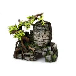 Aqua Della Angkor Wat | Worldofanimals.nl Heeft Het!