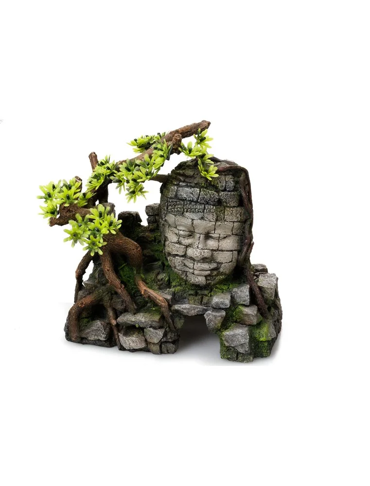 Aqua Della Angkor Wat | Worldofanimals.nl Heeft Het! 1 Aqua Della Angkor Wat | Worldofanimals.nl Heeft Het!