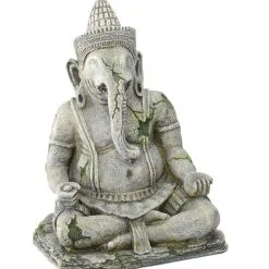 Aqua Della Angkorgod | Worldofanimals.nl Heeft Het!