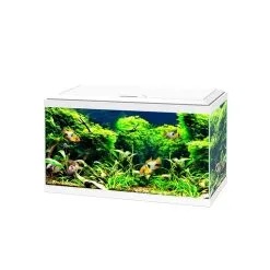 Ciano Aquarium 60 Led Cf80 | Worldofanimals.nl Heeft Het!