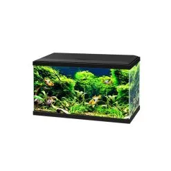 Ciano Aquarium 60 Led Cf80 | Worldofanimals.nl Heeft Het!