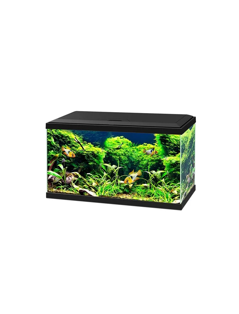 Ciano Aquarium 60 Led Cf80 | Worldofanimals.nl Heeft Het! 1 Ciano Aquarium 60 Led Cf80 | Worldofanimals.nl Heeft Het!