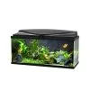 Ciano Aquarium 80 Led Cf80 | Worldofanimals.nl Heeft Het!