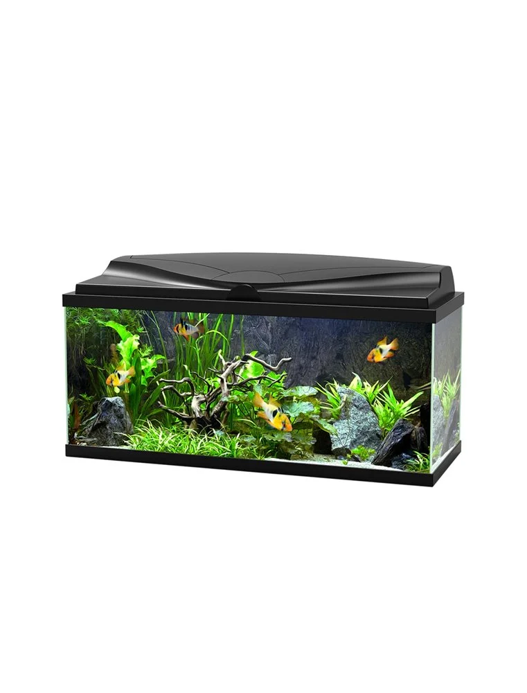Ciano Aquarium 80 Led Cf80 | Worldofanimals.nl Heeft Het! 1 Ciano Aquarium 80 Led Cf80 | Worldofanimals.nl Heeft Het!