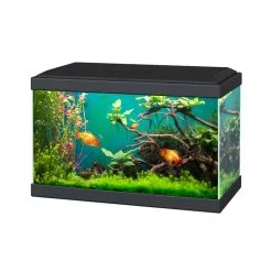 Ciano Aquarium Aqua 20 Classic | Worldofanimals.nl Heeft Het!