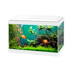 Ciano Aquarium Aqua 20 Classic | Worldofanimals.nl Heeft Het!