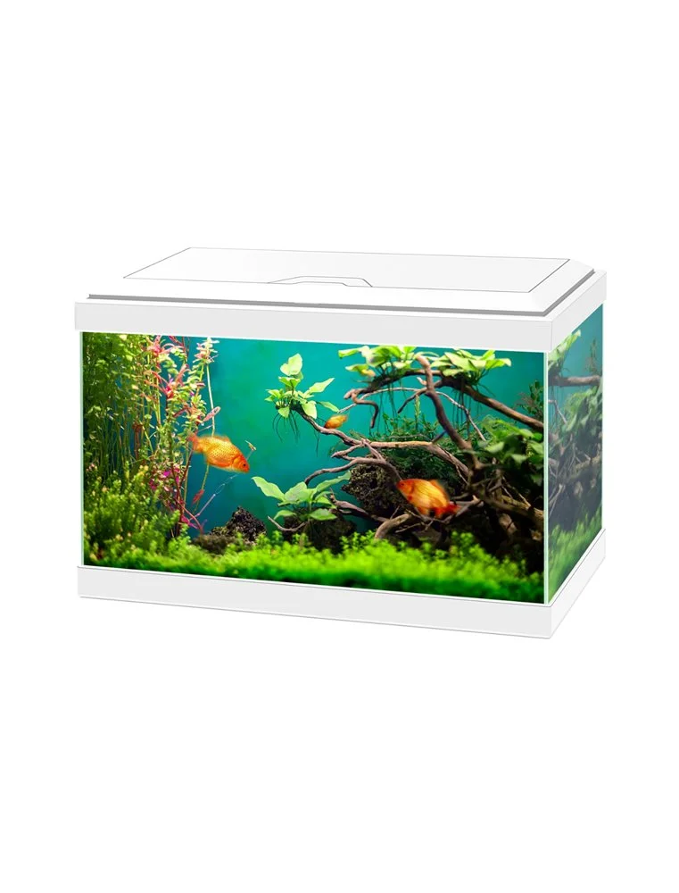 Ciano Aquarium Aqua 20 Classic | Worldofanimals.nl Heeft Het! 1 Ciano Aquarium Aqua 20 Classic | Worldofanimals.nl Heeft Het!