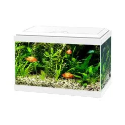 Ciano Aquarium Aqua 20 Led | Worldofanimals.nl Heeft Het!