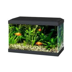 Ciano Aquarium Aqua 20 Led | Worldofanimals.nl Heeft Het!