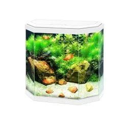Ciano Aquarium Aqua 30 Led | Worldofanimals.nl Heeft Het!