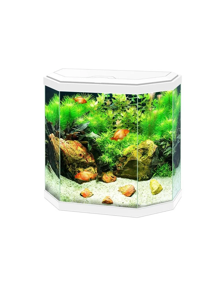 Ciano Aquarium Aqua 30 Led | Worldofanimals.nl Heeft Het! 1 Ciano Aquarium Aqua 30 Led | Worldofanimals.nl Heeft Het!