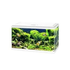 Ciano Aquarium Aqua 60 Led Bio Cf150 | Worldofanimals.nl Heeft Het!