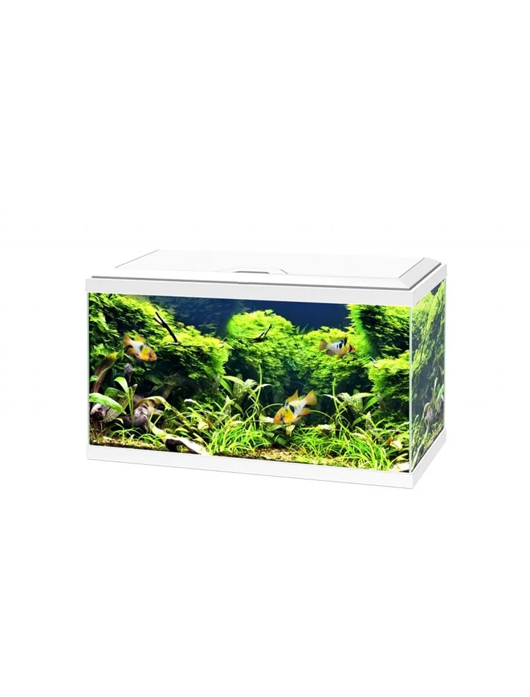 Ciano Aquarium Aqua 60 Led Bio Cf150 | Worldofanimals.nl Heeft Het! 1 Ciano Aquarium Aqua 60 Led Bio Cf150 | Worldofanimals.nl Heeft Het!