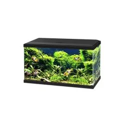 Ciano Aquarium Aqua 60 Led Bio Cf150 | Worldofanimals.nl Heeft Het!