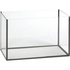 Flamingo Aquarium Basic 50x25x30cm | Worldofanimals.nl Heeft Het!