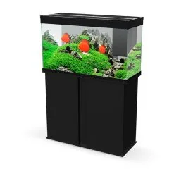 Ciano Aquarium Emotions Nature Pro 100 | Worldofanimals.nl Heeft Het!