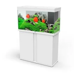 Ciano Aquarium Emotions Nature Pro 100 | Worldofanimals.nl Heeft Het!