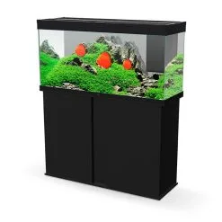 Ciano Aquarium Emotions Nature Pro 120 | Worldofanimals.nl Heeft Het!