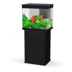 Ciano Aquarium Emotions Nature Pro 60 | Worldofanimals.nl Heeft Het!
