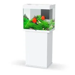 Ciano Aquarium Emotions Nature Pro 60 | Worldofanimals.nl Heeft Het!